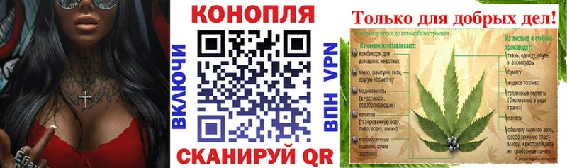 где можно купить наркотик  кракен ССЫЛКА  Конопля планчик  Владимир 